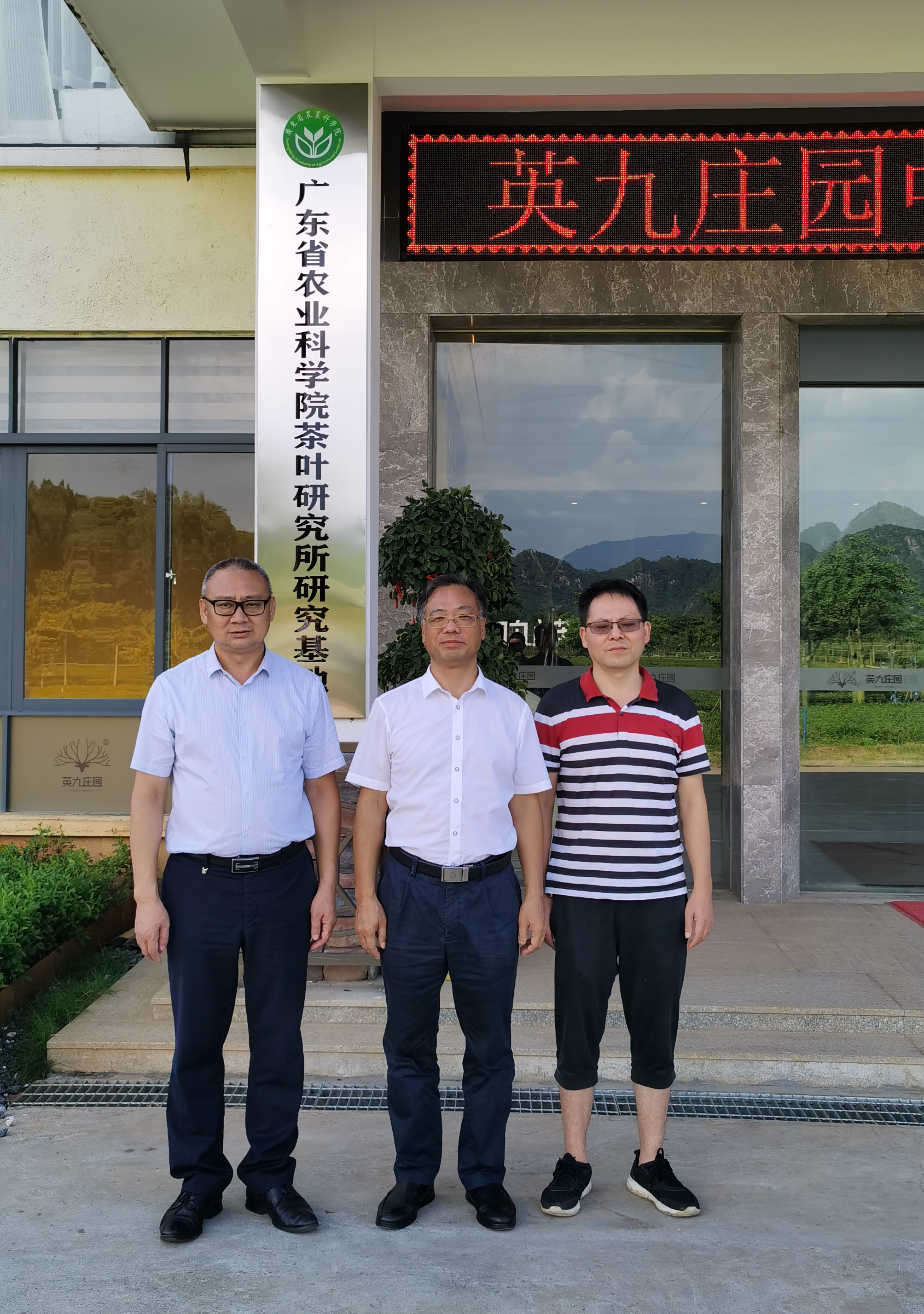 广东英德绿色防控示范茶园，图左：英九庄园董事长，中：操君喜所长，右：赖兆祥站长
